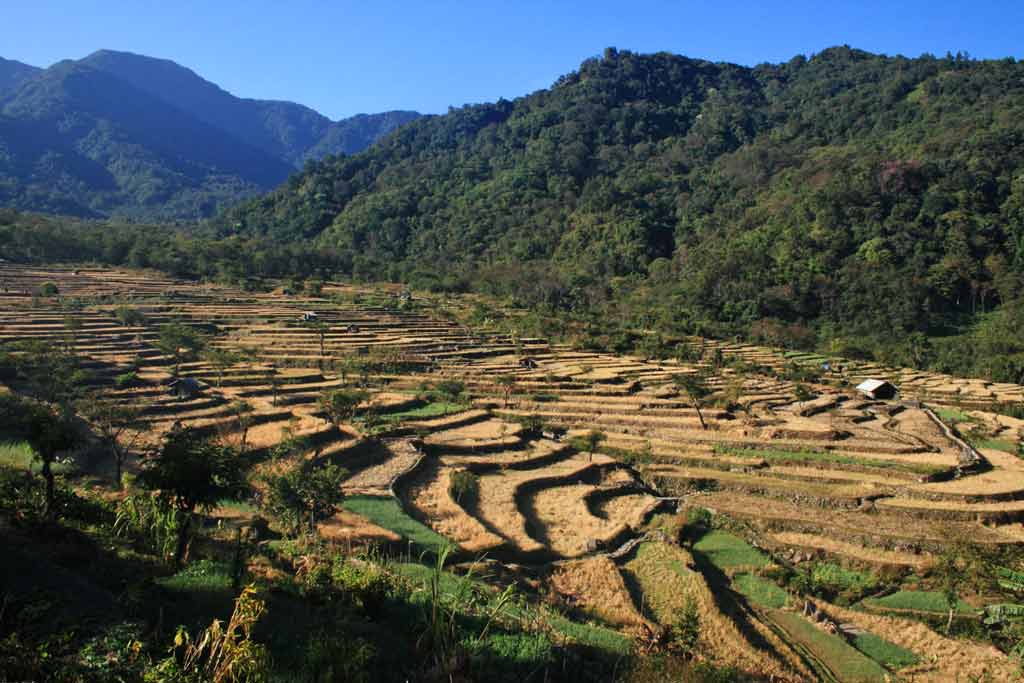 Misty Nagaland