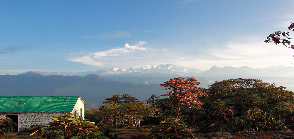 Barsey Rhododendron Trek