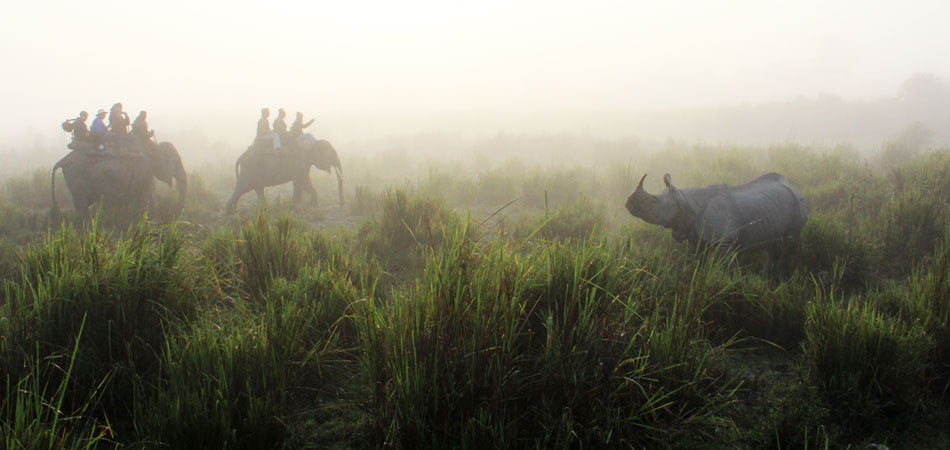 About Assam