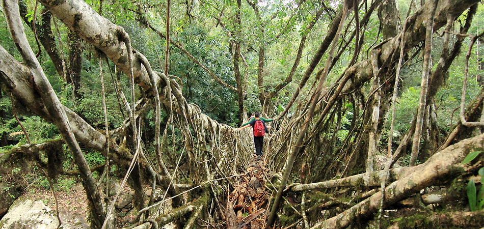About Meghalaya