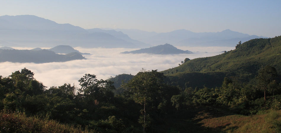 Misty Nagaland