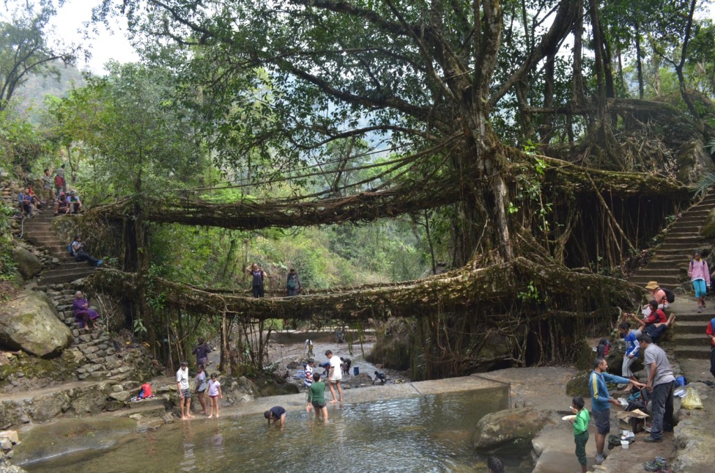 double decker root bridge Nongriat Cherrapunji