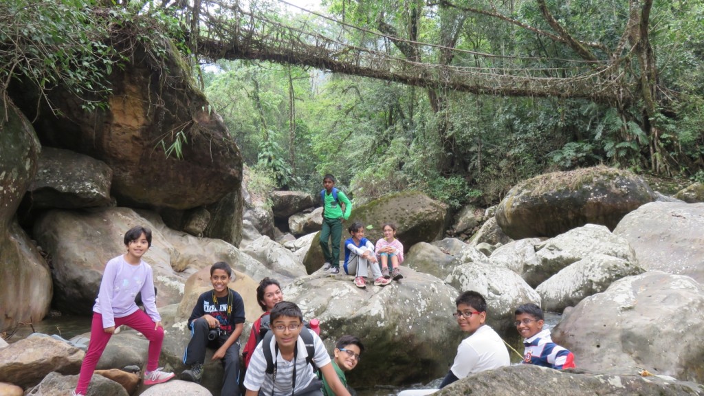 stream near longest root bridge, ritymmen, nongthymmai village, cherrapunji