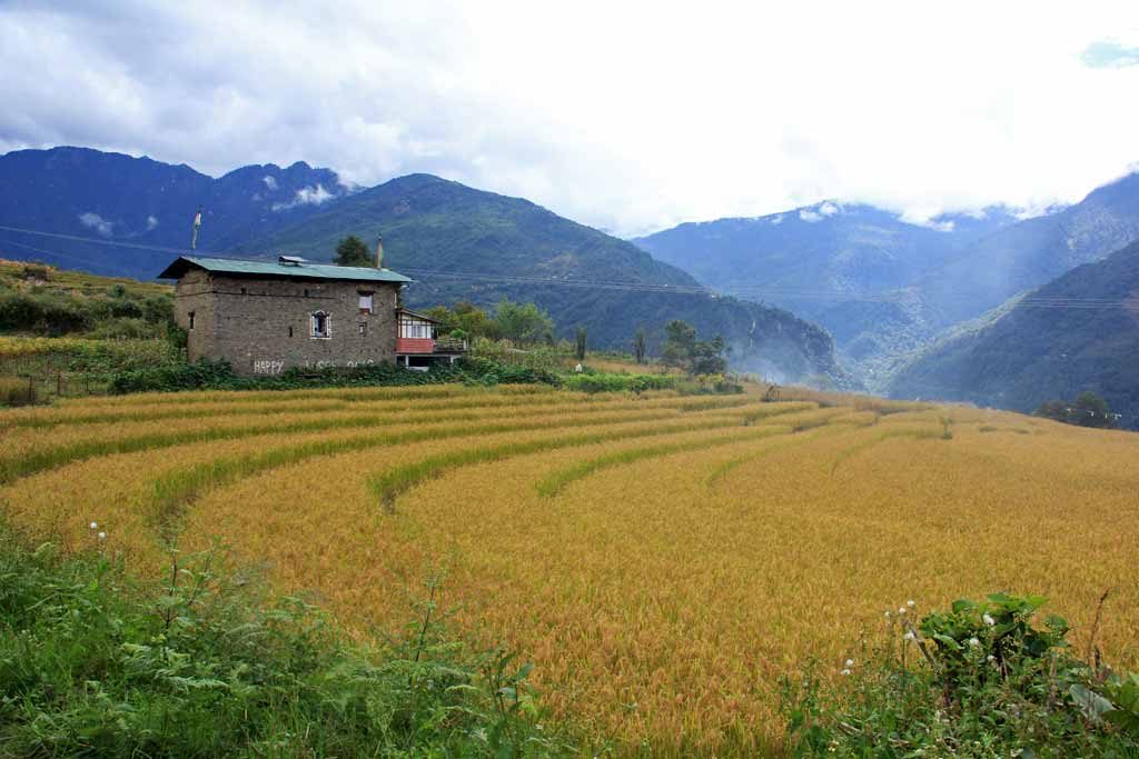 Kitpi village near Tawang