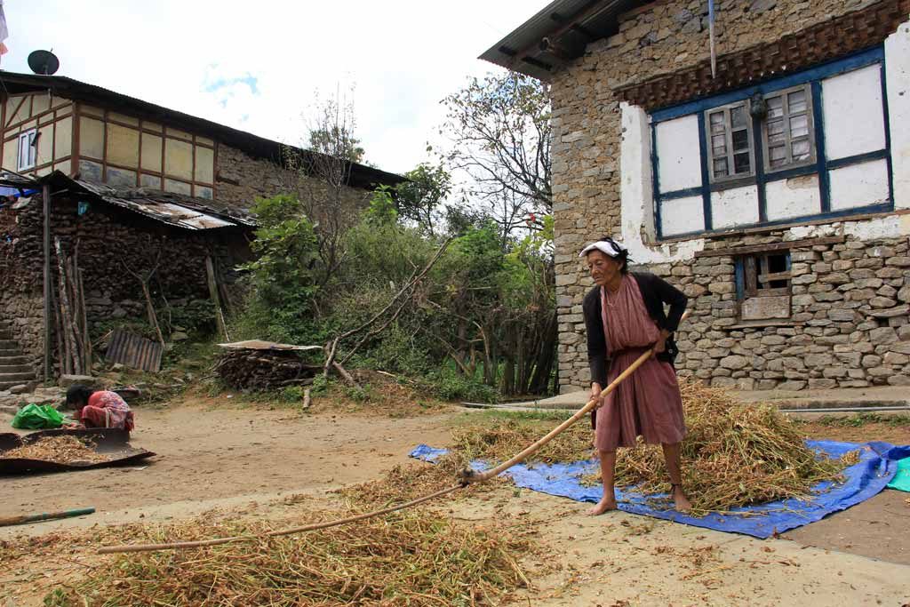 A Monpa lady