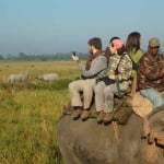 Elephant safari in Kaziranga National Park