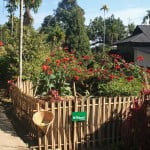 Meghalaya - Mawlynnong 03 Mawlynnong village