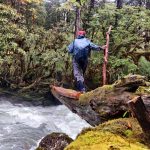 crossing a log bridge on the Aeyo valley trek