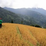 Sikkim - Darap village view Darap village walk