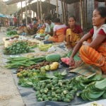 Village market in Assam