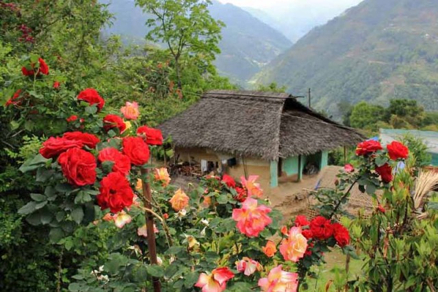 Darap Homestay, Sikkim