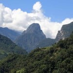 dzongu views Dzongu forest views