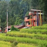 dzongu - rice fields rice fields in Dzongu Sikkim