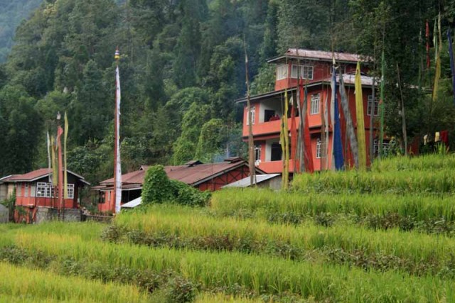 Dzongu Homestay, Sikkim