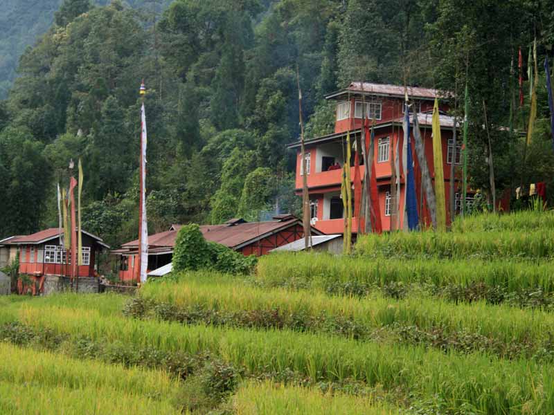 Dzongu Homestay, Sikkim Homestays in Sikkim Kipepeo