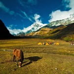 goechala-trek-02 Thangsing campsite on Goechala trek