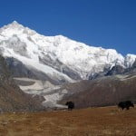 goechala-trek-03 Views from Thansing