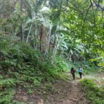headhunters-trail-10 hike from Longwa to Shega Chingyu on headhunters trail