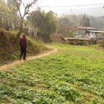 Hee bermiok village walk