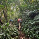 kamlang-trek-07 Walking through dense forest on the Kamlang trek