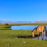 Landscapes at Song Kul lake on Kyrgyzstan Adventure