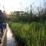 Loktak lake on Manipur tour