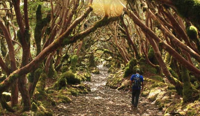 Monpa Trail West Arunachal Trek