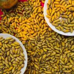 naga-food-trail-silk worms Silk worms on the naga food trail
