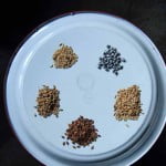 Varieties of rice grown in Khonoma - Nagaland