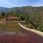 Picturesque terraced fields in Chizami - Nagaland