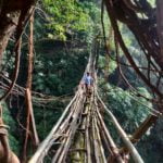 Root bridge near Pynursla