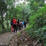 Forest walk on Sikkim Food Trail