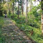 Sikkim silk-route trail The original Silk route path in Sikkim