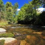 talle-valley-02 Pange stream running through Talle valley wildlife sanctuary