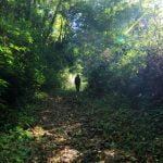 talle-valley-03 Walking through the temperate forest in Talle valley