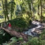 Rezawo - Trans Bhutan trail