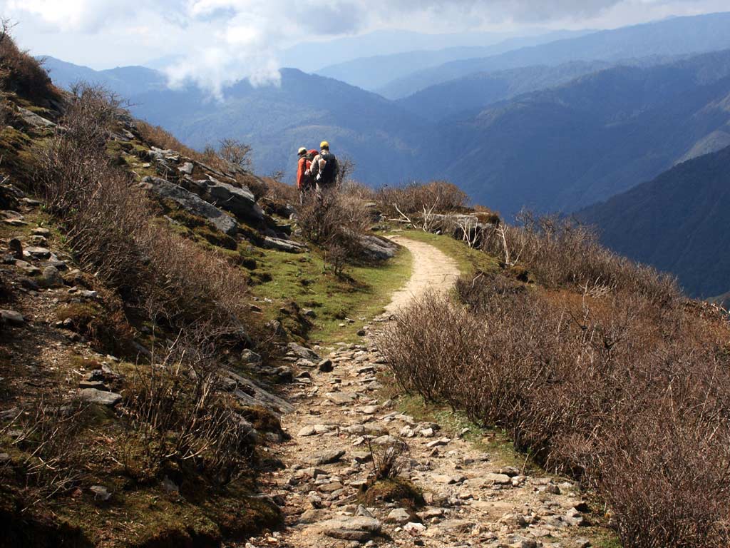 Yambong Singalila Trek - Sikkim trek - Singalila trek